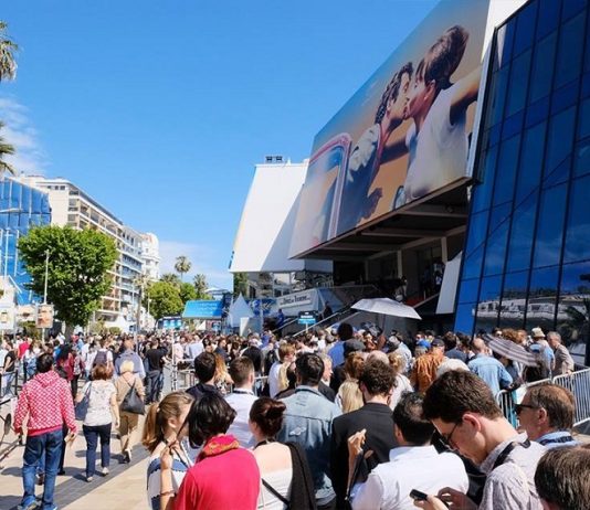 Zece pentru festivaluri si lumea lor