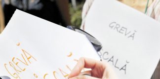 Greva fiscala a patronilor a pus Statul in genunchi