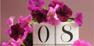 Lucruri pe care nu le stiai despre ziua de 8 Martie