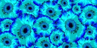 Semnificatia culorii albastru