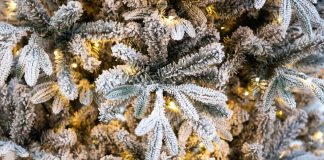 Vreți să vă decorați casa și să aveți un Crăciun frumos? Alegeți-vă un brad de Crăciun artificial și decorațiunile necesare pe lumeabrazilor.ro