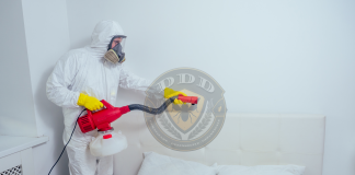 Firmele de dezinsectie și sănătatea dumneavoastră: Evitarea bolilor transmise de insecte