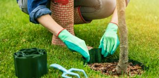 Separatoare de gazon: avantaje în amenajarea grădinilor