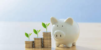 Care este diferenta dintre economii si investitii?