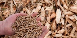 Peleți sau lemn de foc: care este alegerea potrivită pentru încălzire?