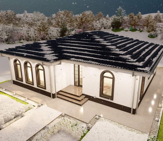 Case pe structura de fier – alegerea sportivilor și a oamenilor activi