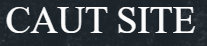 cautsite.ro
